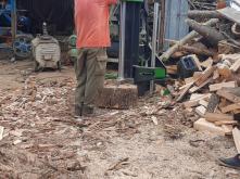 Despicator vertical Robust R25 la lucru