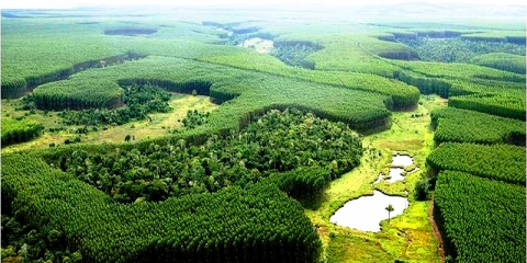 Sisteme informatice ERP