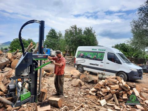 Despicator vertical Robust R25 la lucru