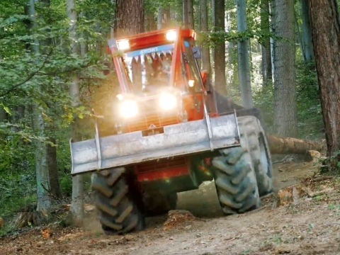 prezentare Alser Forest